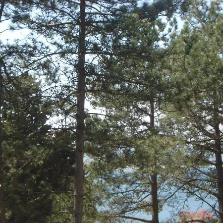 In Sveta Marina Village * Sozopol
